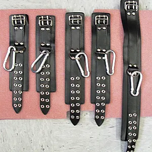 BDSM gallery image