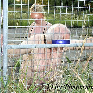 Pferdestall 05 Galeriebild
