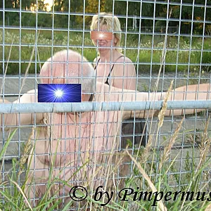 Pferdestall 05 Galeriebild