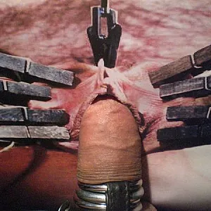 Horny gallery image