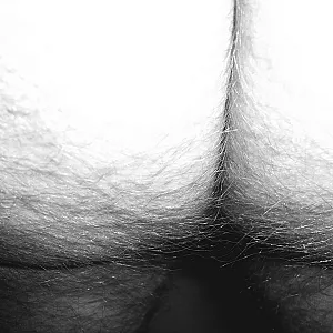 just for fun the II gallery image