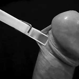 black-white gallery image