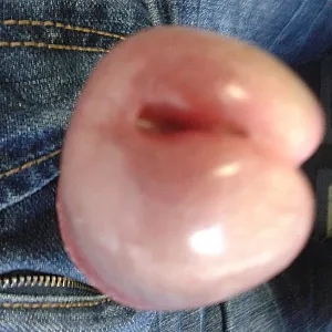 Das erste Bild von Cockrider's Galerie - Mein bestes Stück