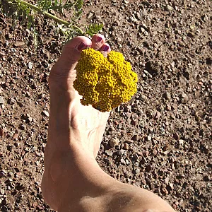 mixed foot pics gallery image