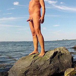 at the coast gallery image