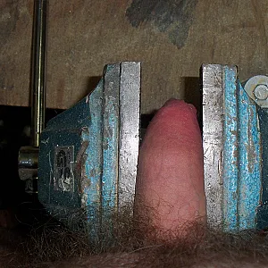 bounded gallery image