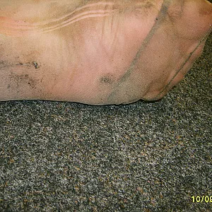 meine verschwitzten nylon füße Galeriebild