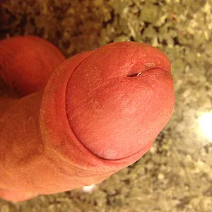 again in motel gallery image