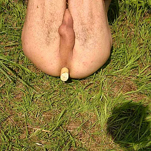Ein Ast, der passt... Galeriebild