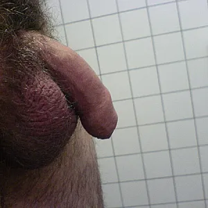 Something of me gallery image