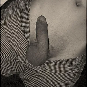 no 4 gallery image