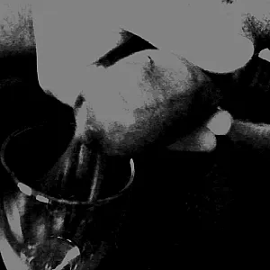 black and white gallery image