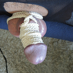 Horny with rope gallery image