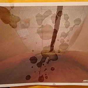 auf den Busch geklopft Galeriebild