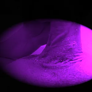 BodyColours gallery image