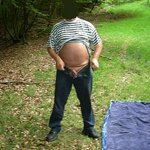 Im Wald Galeriebild
