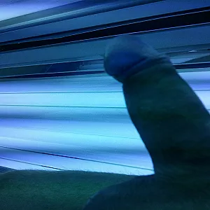 Geil im Solarium Galeriebild