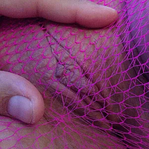 she played with his cock gallery image