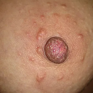 The tits from my wife 2 gallery image