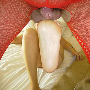 in the holiday gallery image