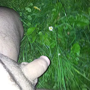 Mitternachtsimpressionen in der Natur und auf der heimischen Spielwiese Galeriebild