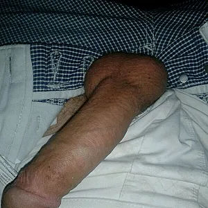 noch ein paar bilder Galeriebild