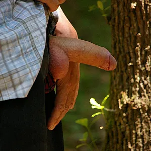 walk in the woods gallery image
