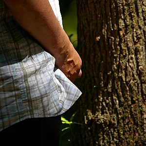 walk in the woods gallery image