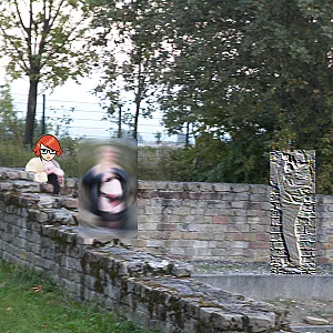 in the ruins gallery image