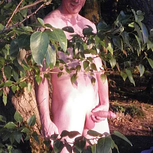 at the lake gallery image