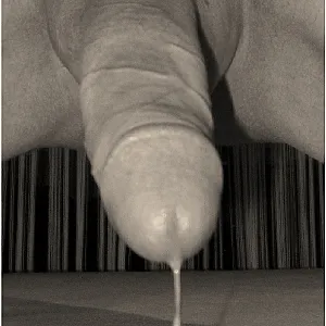no 3 gallery image