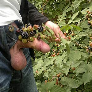 Lecker Brombeeren Galeriebild