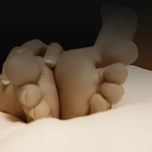 Tip of the toe gallery image