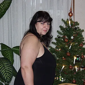 384 Galeriebild