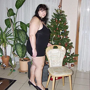 384 Galeriebild