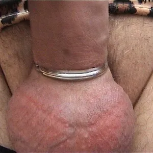 horny gallery image