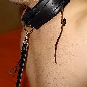 bdsm gallery image