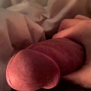 Mein Knüppelschwanz bei Low Light Galeriebild