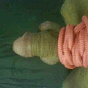 First image of Schwanzschlampe's Gallery - my bounded cock