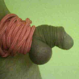 my bounded cock gallery image