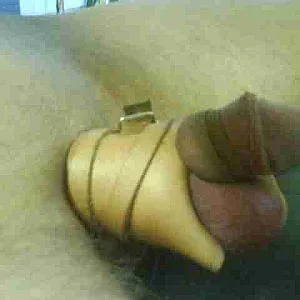 my bounded cock gallery image