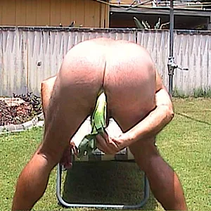 kinkyroly with his veggies Galeriebild