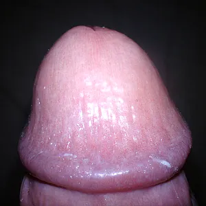 fakecheck gallery image