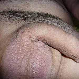 Stef Galeriebild