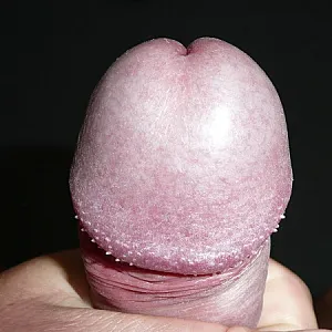 Stef Galeriebild