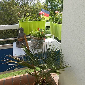 Der Frühling 2015 war auch da Galeriebild