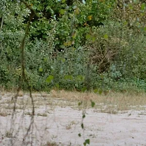 outdoors gallery image