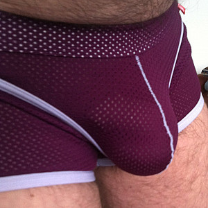 underwear gallery image