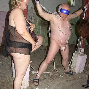 stable 10 gallery image