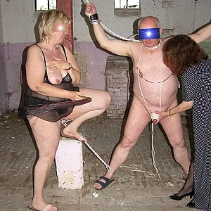 stable 10 gallery image